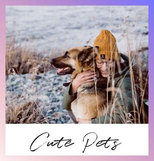 cute pets