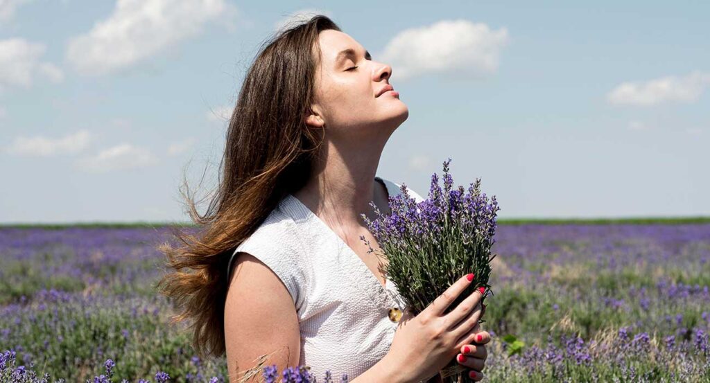 Scent and Sensibility: How Smell Influence Emotions and Behavior