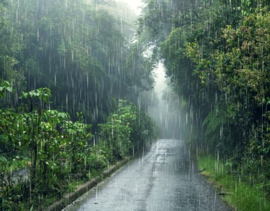 pluviophile-or-monsoon-blues-embrace-the-beauty-of-rain