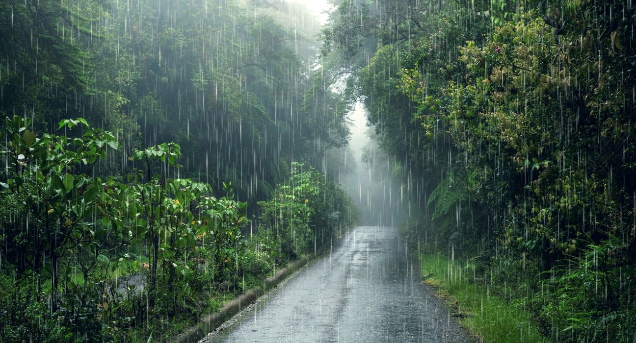pluviophile-or-monsoon-blues-embrace-the-beauty-of-rain