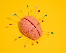 neuroplasticity-and-growth-mindset-न्यूरोप्लास्टिसिटी